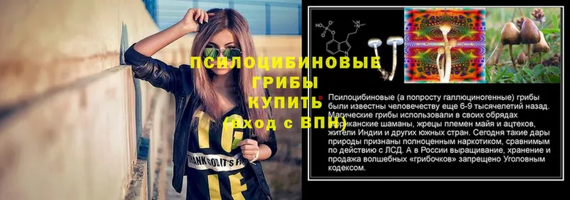 Что такое Бирюч Cocaine  Альфа ПВП  Каннабис  ГАШ 