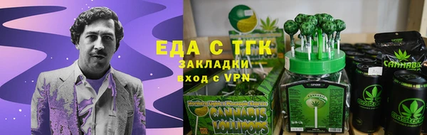 прущие грибы Новозыбков