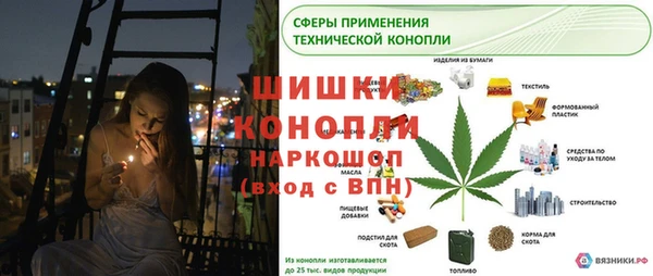 стафф Новокубанск