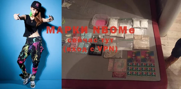 прущие грибы Новозыбков