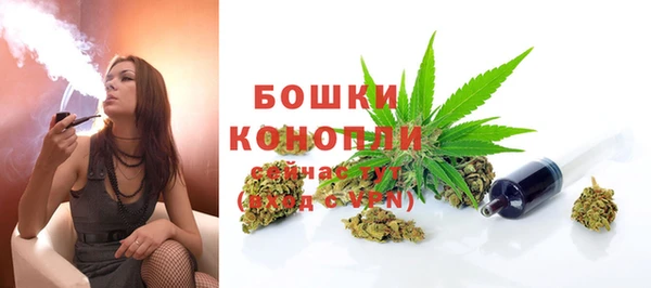 стафф Новокубанск