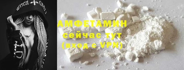 прущие грибы Новозыбков