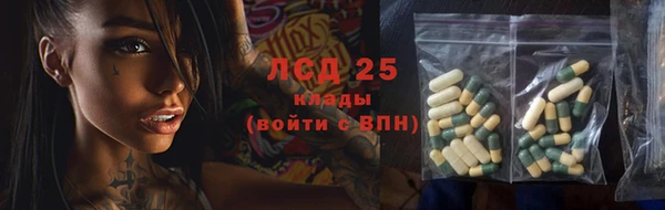 прущие грибы Новозыбков