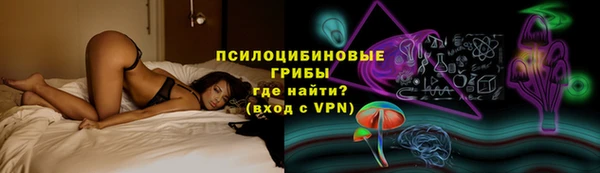 прущие грибы Новозыбков