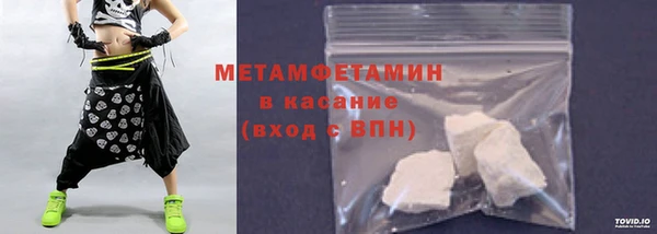 прущие грибы Новозыбков