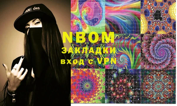 прущие грибы Новозыбков