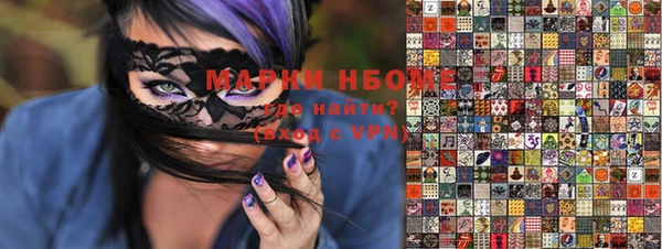 стафф Новокубанск