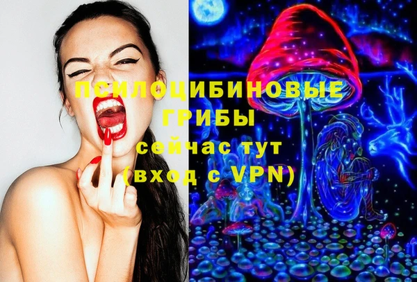 прущие грибы Новозыбков