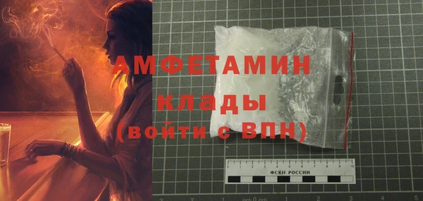 прущие грибы Новозыбков