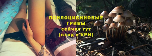 хмурый Новодвинск