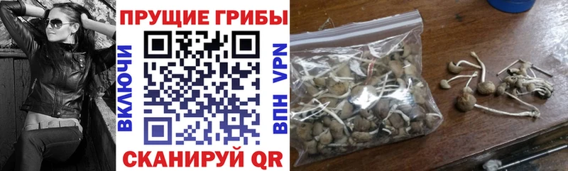 Галлюциногенные грибы GOLDEN TEACHER Бирюч